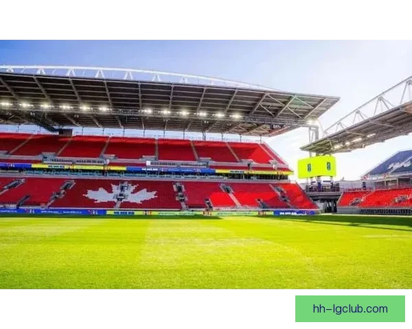 2026世界杯多伦多为球迷建临时露营地 提供独特赛事体验